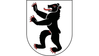 Illustration for article titled Ăllati pĂ©niszek dĂszĂtik SvĂĄjc cĂmereit